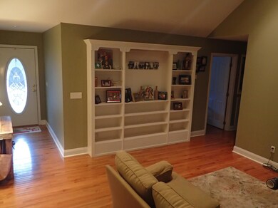 Living Room Built- in