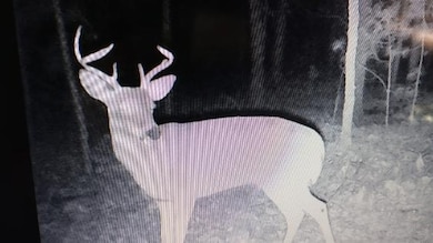 147A Sherman Rd, Moyers, OK 74557 - photo 4