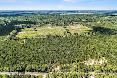 Lot 4 Mount Beulah Rd, Windsor, SC 29856 - photo 2