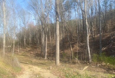 Lot 7 SW Holloway Rd, Cleveland, TN 37311 - photo 2