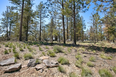 62947 Levins Ln, Bend, OR 97703 - photo 3