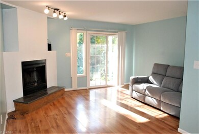 Living with fireplace