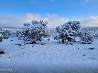 20250419_070340 View Backyard