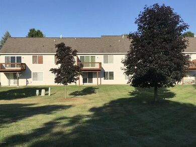 backyard1