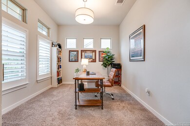 10534 Far Reaches Ln, Helotes, TX 78023 - photo 5