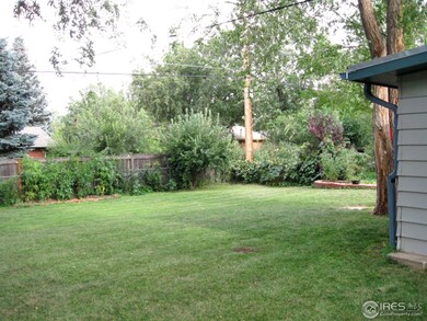 large back yard