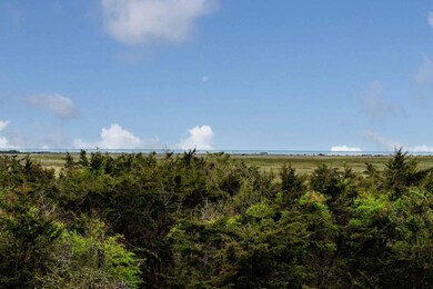 11 Mattakesett Way, Edgartown, MA 02539 - photo 3