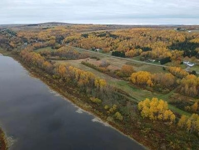 pulse-image-1762947032626