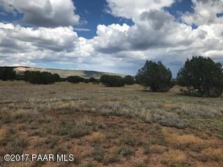 2001 Forest Line Rd, Ash Fork, AZ 86320 - photo 3