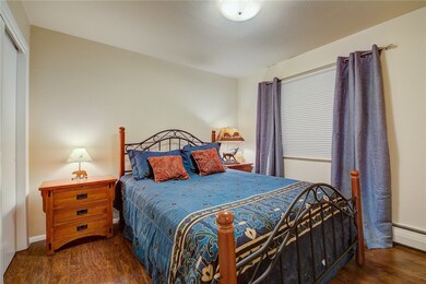 144 Gold Run Cir unit 18, Dillon, CO 80435 - photo 7