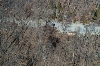 Tiny Jones Road Wp Lot unit 2, Stanton, KY 40380 - photo 5