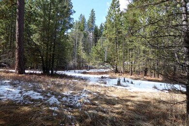 4 Blue Spruce Place unit 6, Cascade, ID 83611 - photo 2