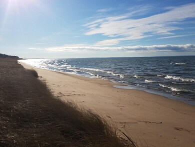 sand dunes