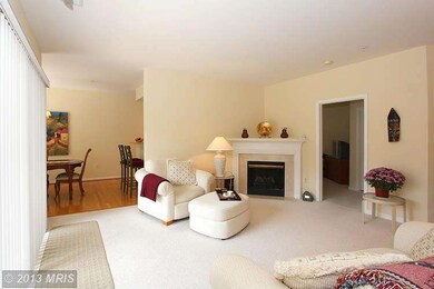 11306 Westbrook Mill Ln unit 201, Fairfax, VA 22030 - photo 7