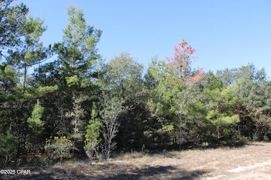 0 Overton Dr, Chipley, FL 32428 - photo 3