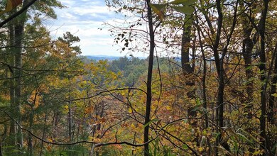 Lot 157 Roaring Forks Ln, Ellijay, GA 30540 - photo 5