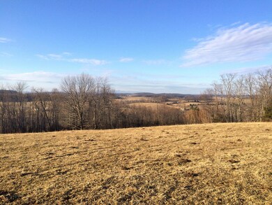 northeastern view upper meadow