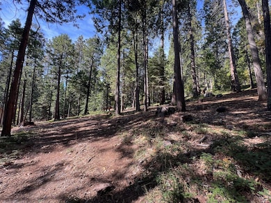 646 Dean Way, Arnold, CA 95223 - photo 4