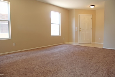 Family Room with New Carpet