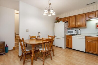 25026 Mill River Rd, Olmsted Falls, OH 44138 - photo 4