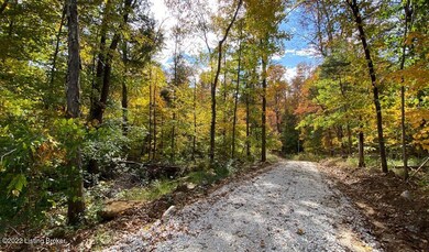 River View Fall298