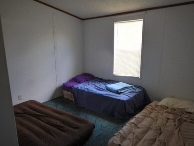 406 2nd St W, Steinhatchee, FL 32359 - photo 7