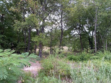 0 Beech unit 2234957, Achille, OK 74720 - photo 4