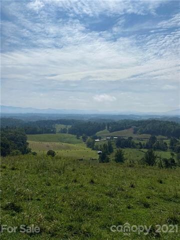 000 Don Felmet Rd, Leicester, NC 28748 - photo 2