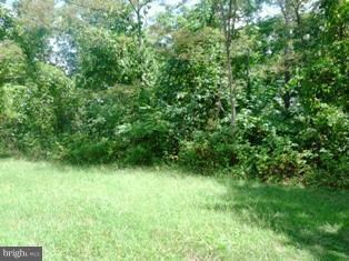 254 Lower View Rd, Strasburg, VA 22657 - photo 4