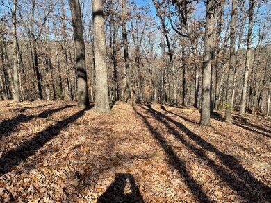 Nov 2023 Ford View, Rogers, AR