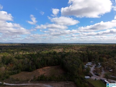 0 Limestone Dr unit 21404125, Calera, AL 35040 - photo 5