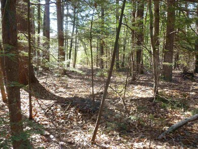 Map 42 Lot 328 Bristol Rd, Barnstead, NH 03225 - photo 3