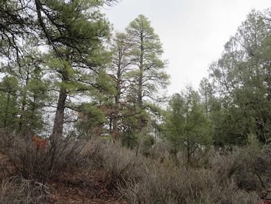 719 E Stollsteimer Rd, Pagosa Springs, CO 81147 - photo 2