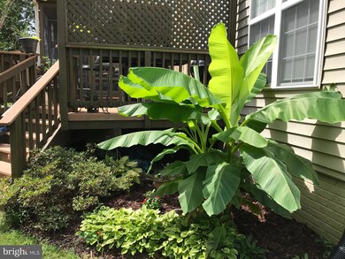 25784 Spectacular Run Place, Chantilly, VA 20152 - photo 6