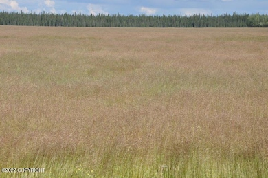 Hairgrass crop