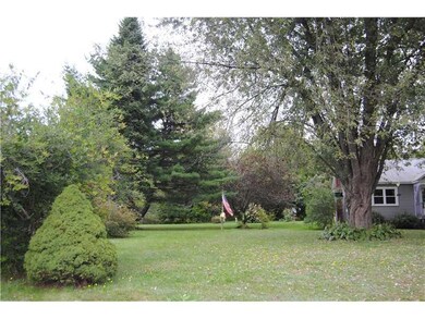 Yard/Garden. Large Mature Trees for...