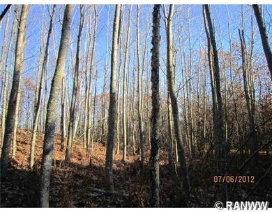 0 Hayden Lake Rd unit 859470, Danbury, WI 54830 - photo 2