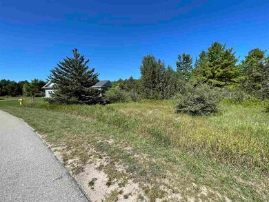 Lot 33 Weislik Ct, Charlevoix, MI 49720 - photo 4