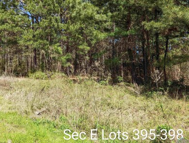TBD Eagle Bluff Loop unit IHH SEC E LOTS 395-3, Avinger, TX 75630 - photo 2