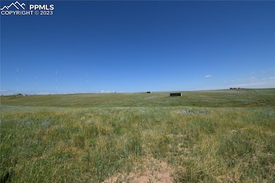 6520 Ropers Point, Black Forest, CO 80908 - photo 6