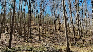 0 Harley Rucker Rd unit 19785832, Elberton, GA 30635 - photo 2