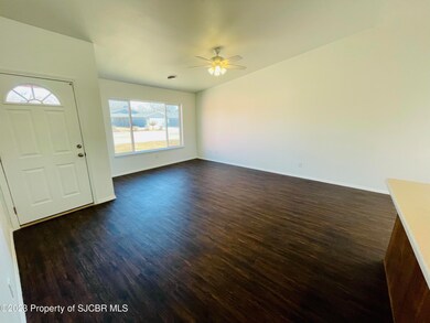 313 Valle Bonita Dr, Farmington, NM 87401 - photo 4