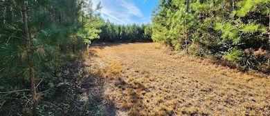 Grand Brooks Rd, Spotsylvania, VA 22551 - photo 5