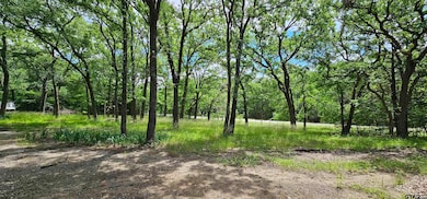 10092 County Road 2440, Royse City, TX 75189 - photo 4