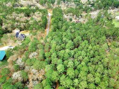 TBD Dan Cir, Magnolia, TX 77355 - photo 2