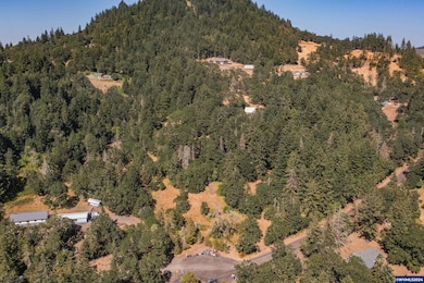 28920 Sheep Head (Next To) Rd, Brownsville, OR 97327 - photo 4