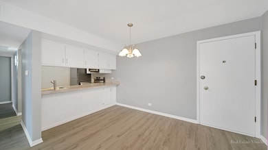 Homewood Shores unit A405, Homewood, IL 60430 - photo 5