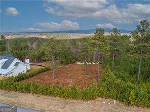 238 the Cove at Thirteen Hundred unit LOT 238, Blairsville, GA 30512 - photo 7