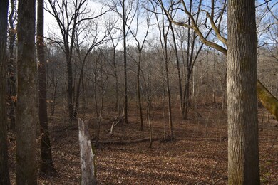 824 Buffalo Bottom Rd, Linden, TN 37096 - photo 5