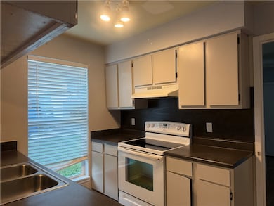 Kitchen with under cabinet range hood, electric st